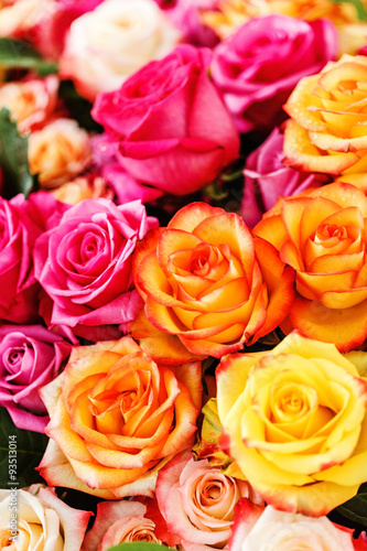 nice roses