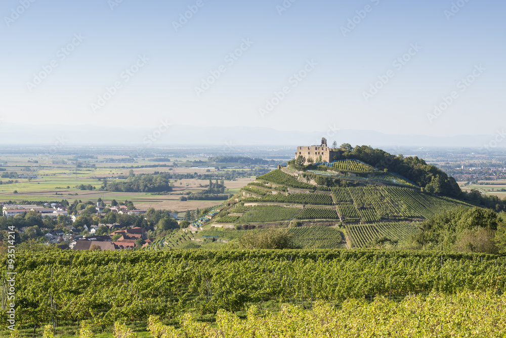 Deutschland, Baden-Württemberg, Breisgau-Hochschwarzwald, Blick über die Weinberge zur Burgruine Staufen, links die Stadt Staufen