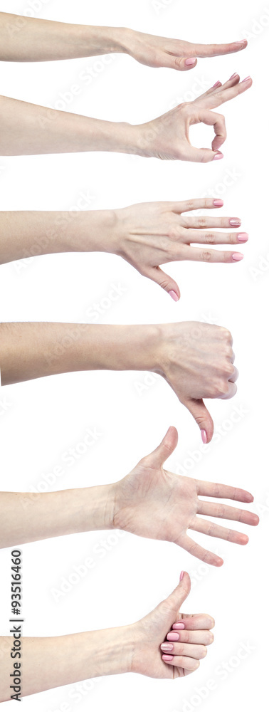 Female hands isolated on white background Female hands isolated on white background
