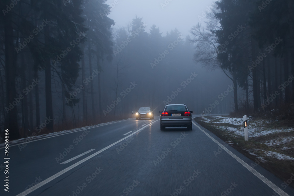 Obraz premium grauer Herbst