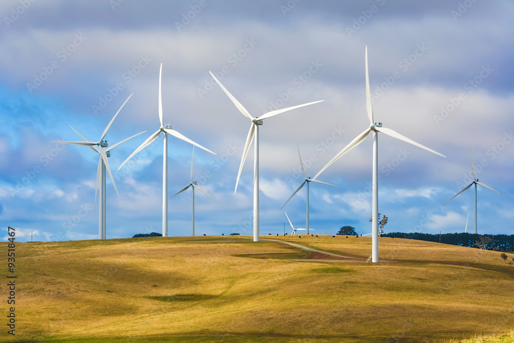 Wind turbine farm of windmills creating renewable energy on top of hill with cattle farm beneath. Taralga, New South Wales Australia. Wind turbine farm of windmills creating renewable energy on top of hill with cattle farm beneath. Taralga, New South Wales Australia.
