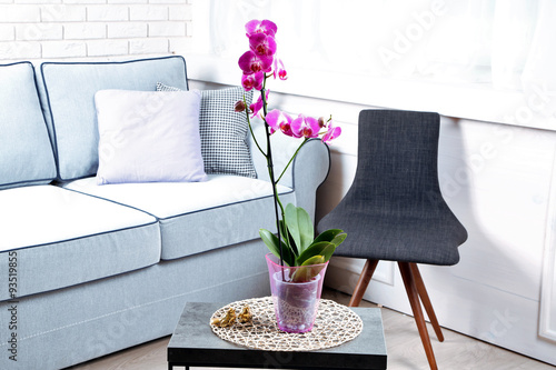 Fototapeta Naklejka Na Ścianę i Meble -  Beautiful lilac orchid in pot on table in room