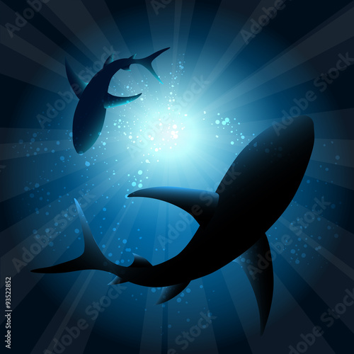Sharks under water