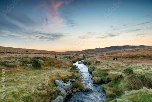 Fotografie Dartmoor Stream
