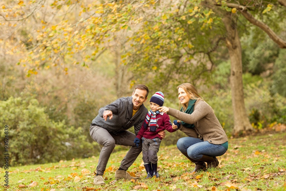 Young couple pointing something to their little boy Young couple pointing something to their little boy