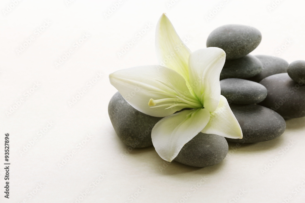 Spa stones with flower isolated on white - obrazy, fototapety, plakaty 