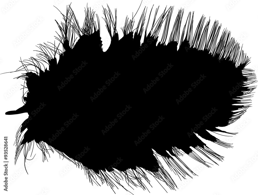 wide short black feather on white