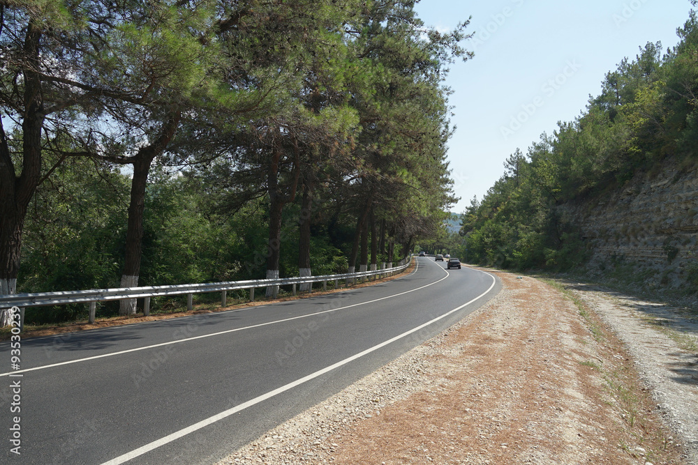 Fototapeta premium дорога