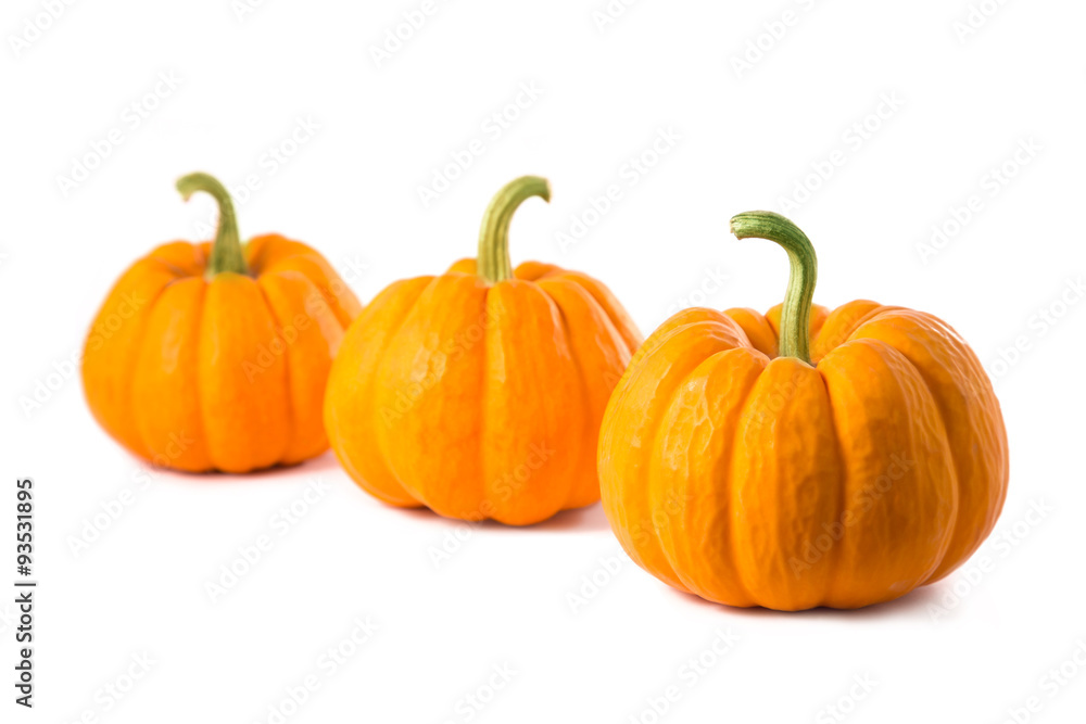 Row of three small pumpkins Row of three small pumpkins
