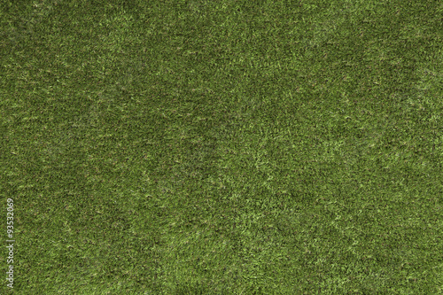 Seamless green grass background under the sunlight