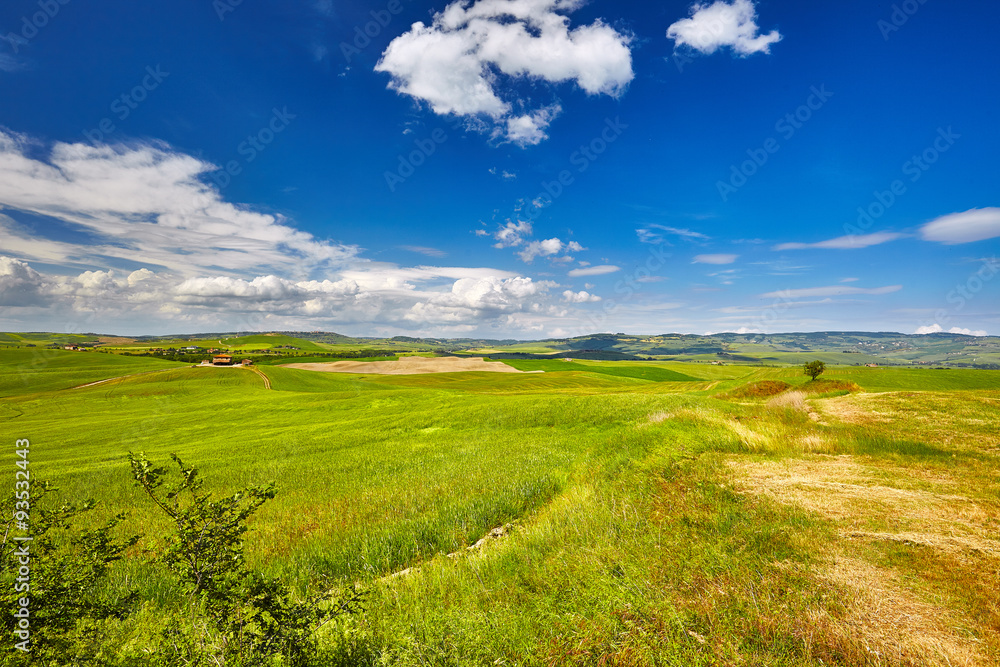 Landscape of Val d'Orcia province. Tuscany, Italy.