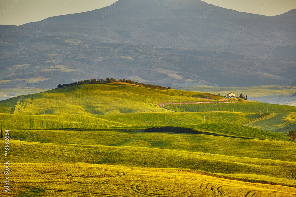 Amazing Tuscany hill
