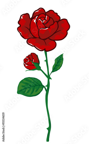 rote Rose