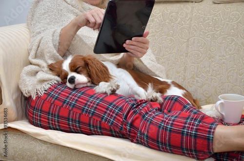 Fotografia Lady holding tablet and cavalier dog