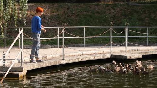 Feeding the ducks with bread. / Girl with a pier feeding the ducks with bread. Long shot. Ukraine, National Park Mezhyhiria. photo