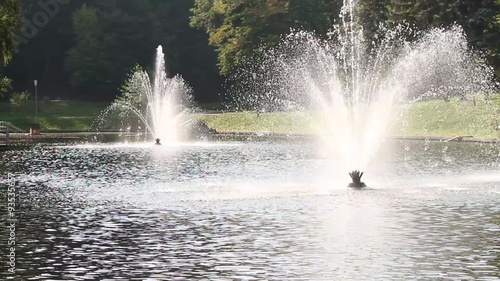 Wallpaper Mural Fountain in the lake. Mezhyhiria / Fountain in the lake. Mezhyhiria. Quacking and the noise of the fountain. Torontodigital.ca
