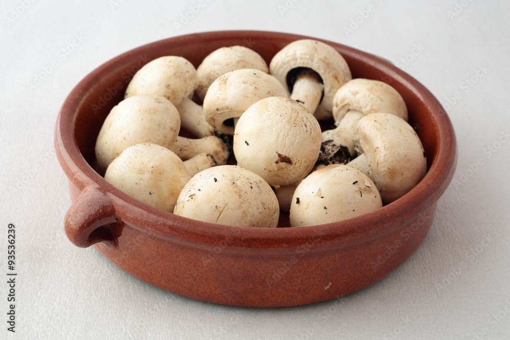 clay pot full of mushrooms for cooking clay pot full of mushrooms for cooking