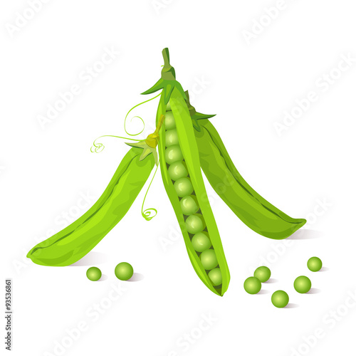 Green pea pods isolated