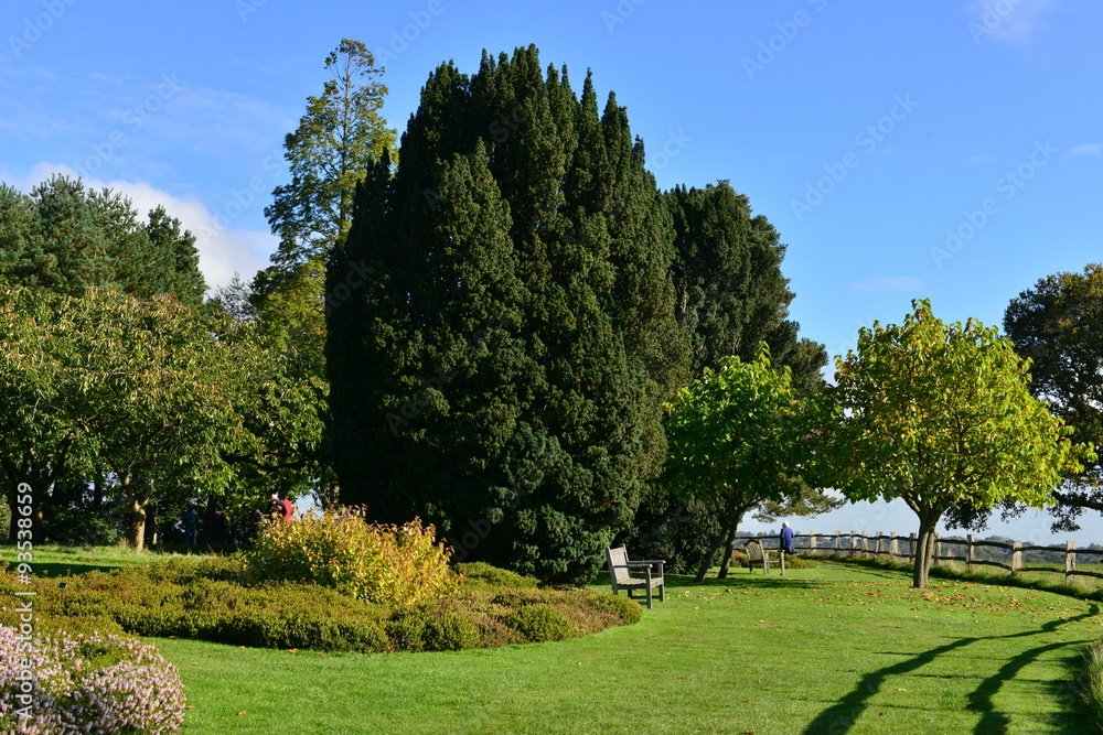 Naklejka premium A garden at an English country estate in Autumn
