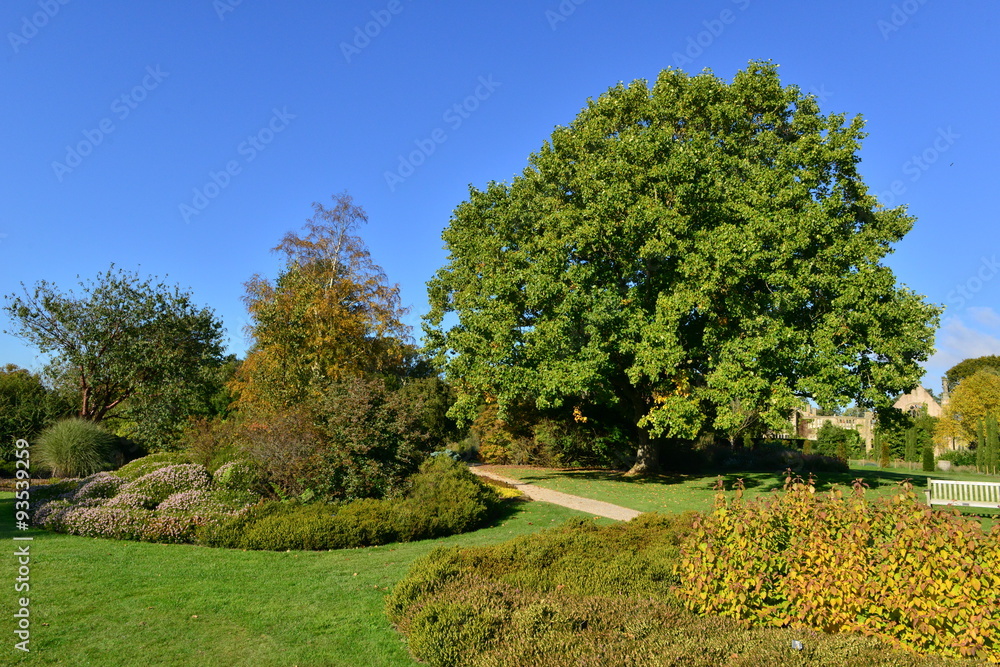 A garden at an English country estate in Autumn