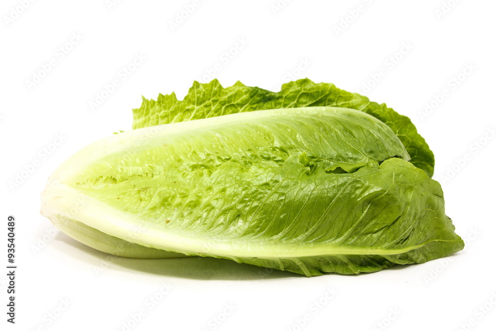 Cos lettuce Cos lettuce