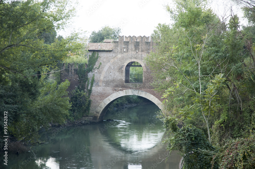 Fototapeta premium rome italy history monuments