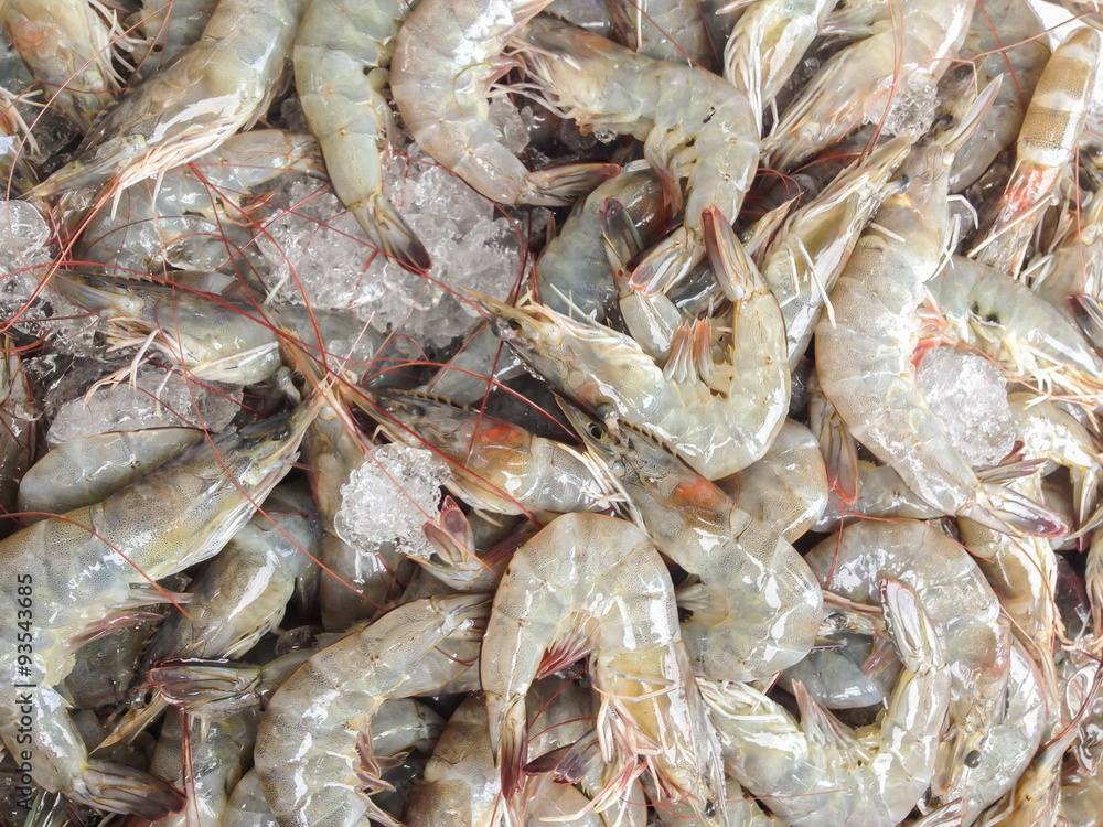 Prawns Prawns