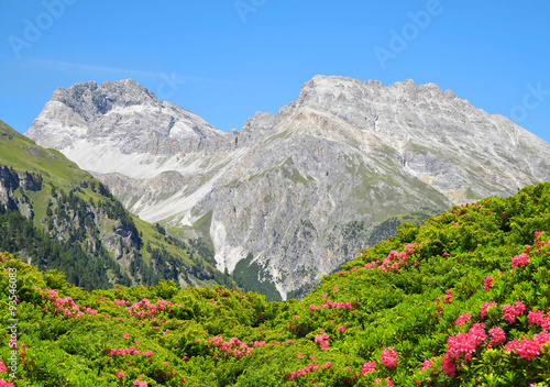 Piz Ela in Switzerland Alps - canton Graubunden.