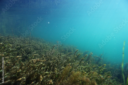 underwater scenery in the river diving © kichigin19