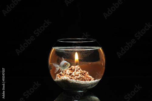 Bilde på lerret Fish in jar with candle and flame