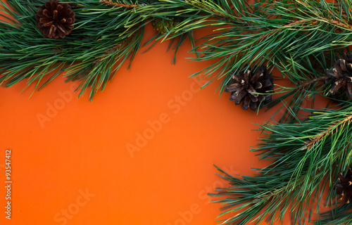 pine branches with cones on an orange background