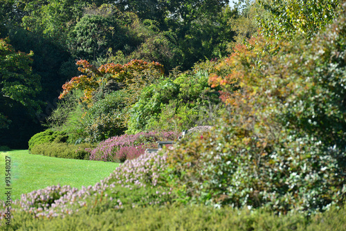 An English country garden in Autumn,/Fall