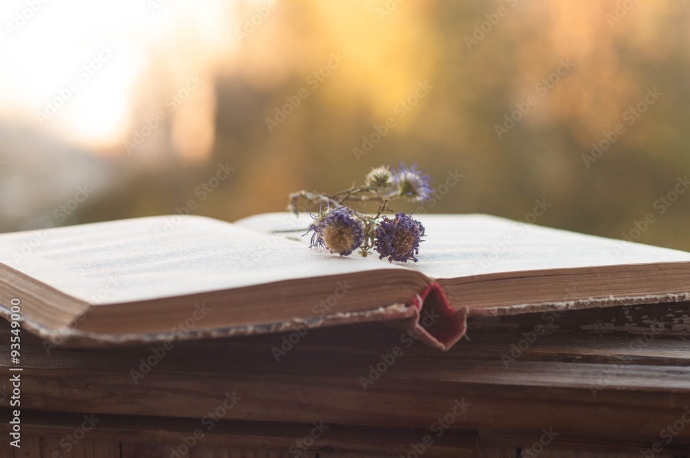 Book and dry flowers