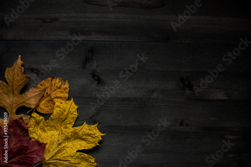 Fotografie Wood autumn background