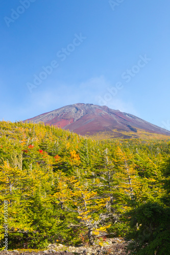 紅葉と富士山近景