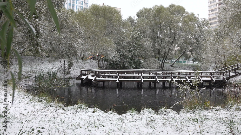 Trees covered with snow around the lake Trees covered with snow around the lake