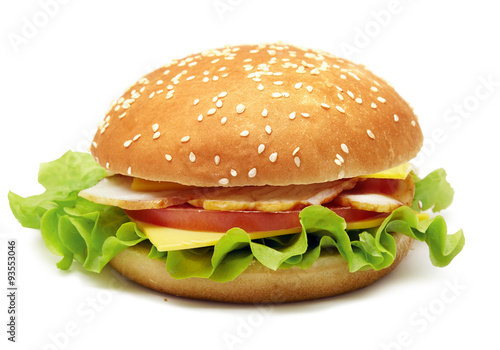 hamburger  studio shooting on white with pen clipping path included