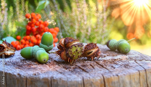 herbststimmung photo