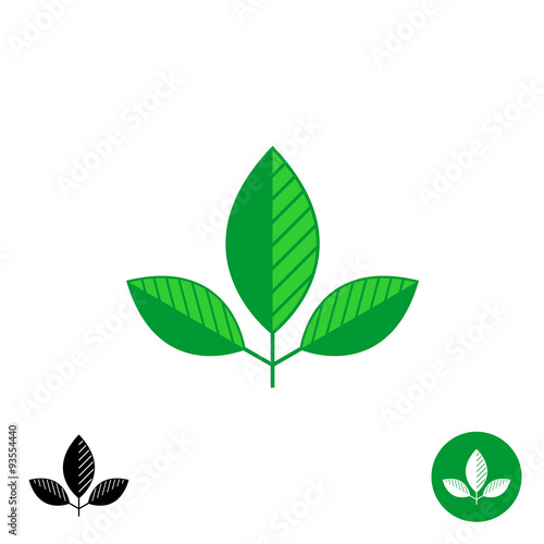 Three leaves simple natural logo
