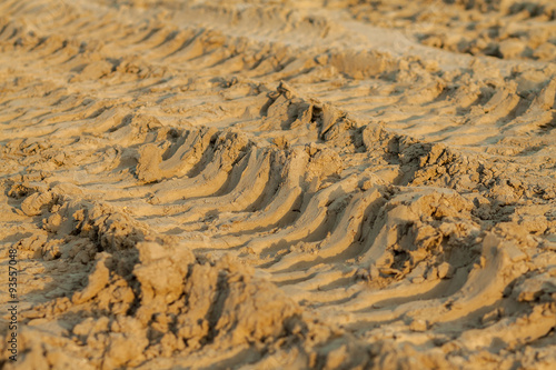 tire tracks in the sand