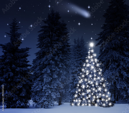 Leuchtender Weihnacdhtsbaum im Wald