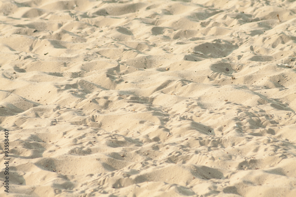 autumn beach autumn beach