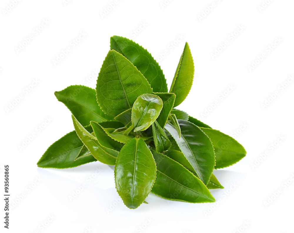 Obraz premium Green tea leaf isolated on white background