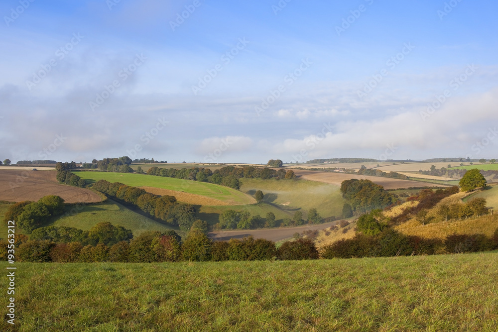 misty valley misty valley