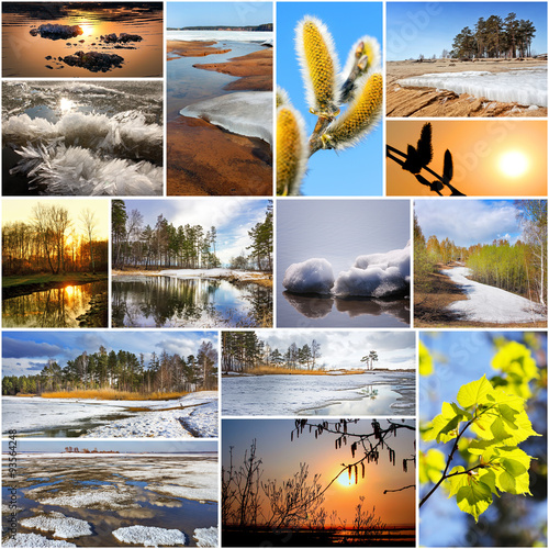 Коллаж на тему весна. Природа России,Сибирь,Новосибирская область