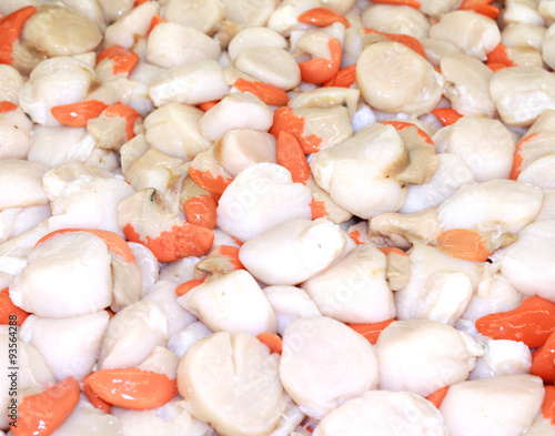 noix de saint-jacques