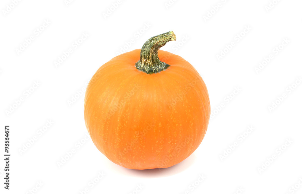 Obraz premium Orange sugar pumpkin