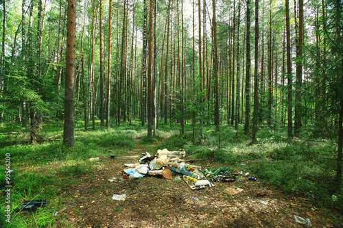 garbage dump in the woods