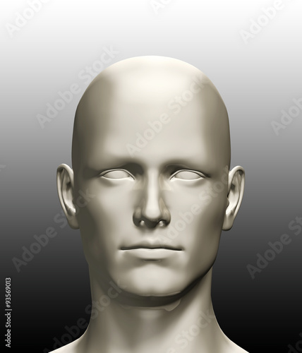 3d rendered illustration of a human head