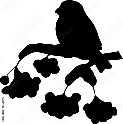 Vogel auf einem Ast